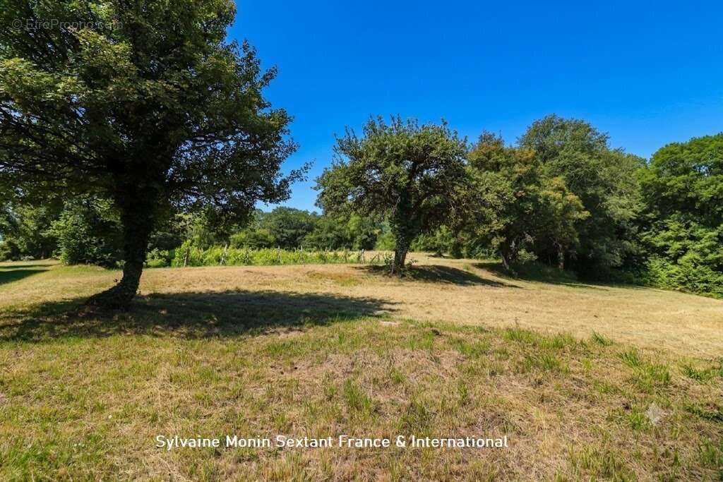 Superbe domaine de caractère du XVIIIe siècle sur 4 hectares avec piscine, maison d'amis et dépendances - photo 28