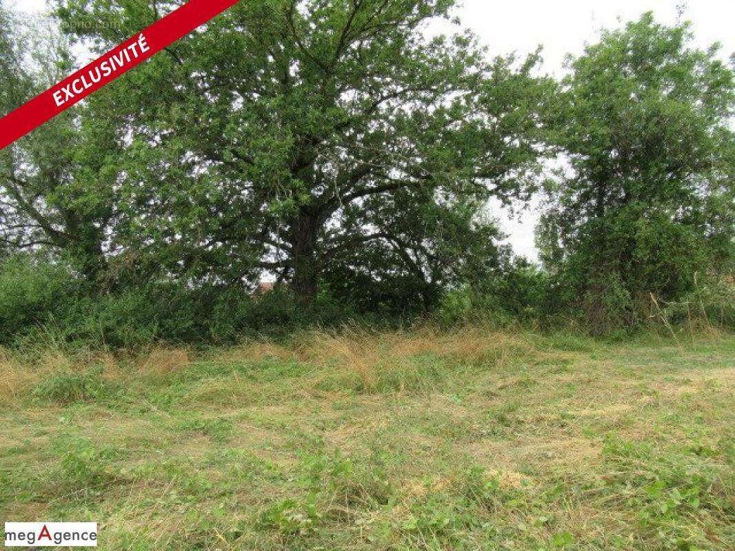 Terrain à bâtir de 1730 m² - photo 2