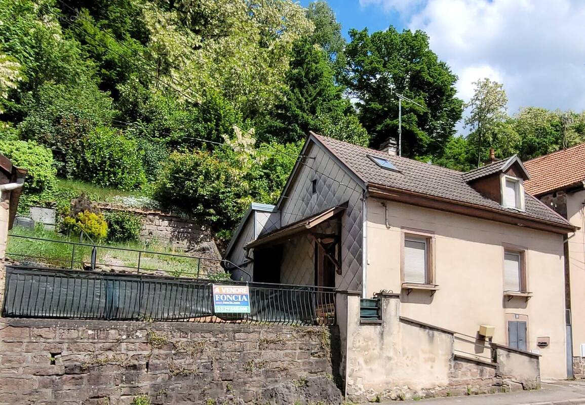 Maison à LA PETITE-RAON