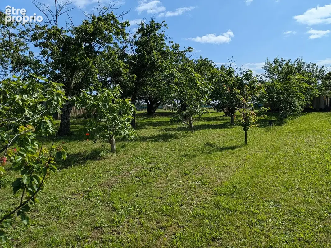 Terrain à IRIGNY