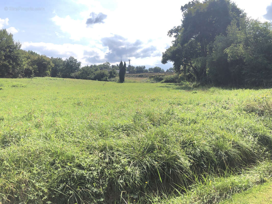 Terrain à EAUZE