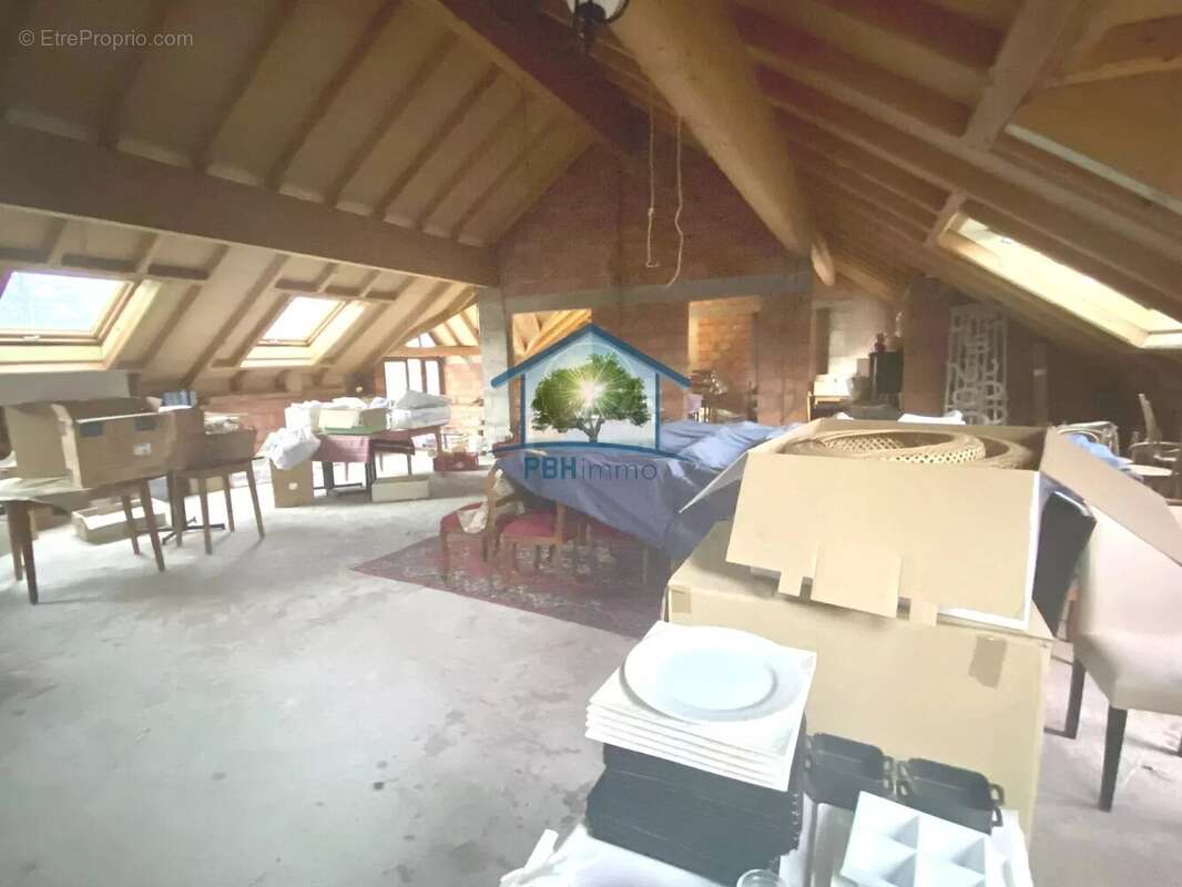 Commerce à SARREGUEMINES