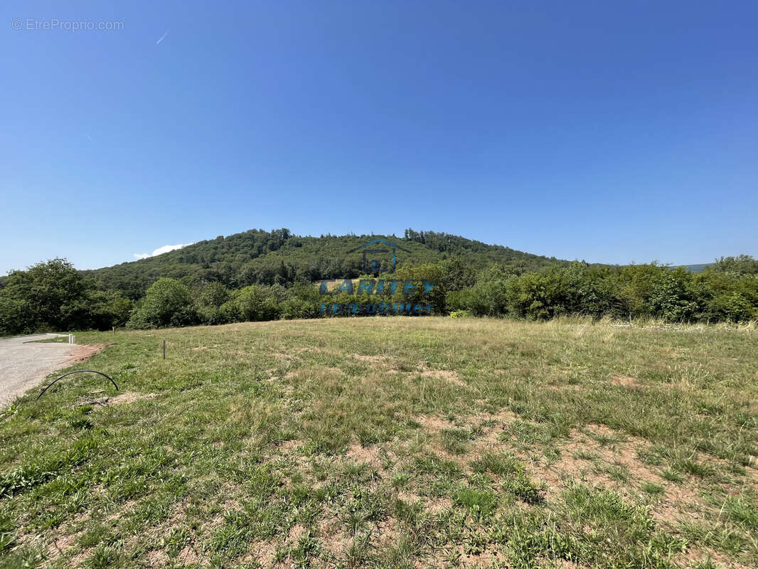 Terrain à BELVERNE