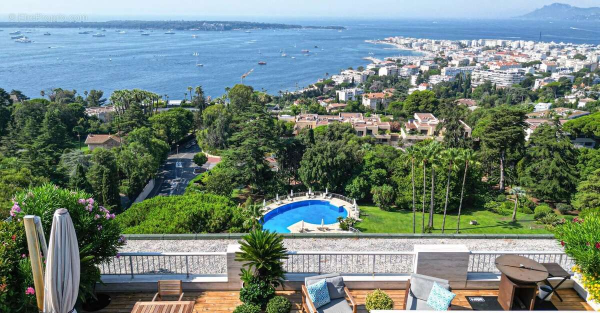 Cannes californie - photo 20