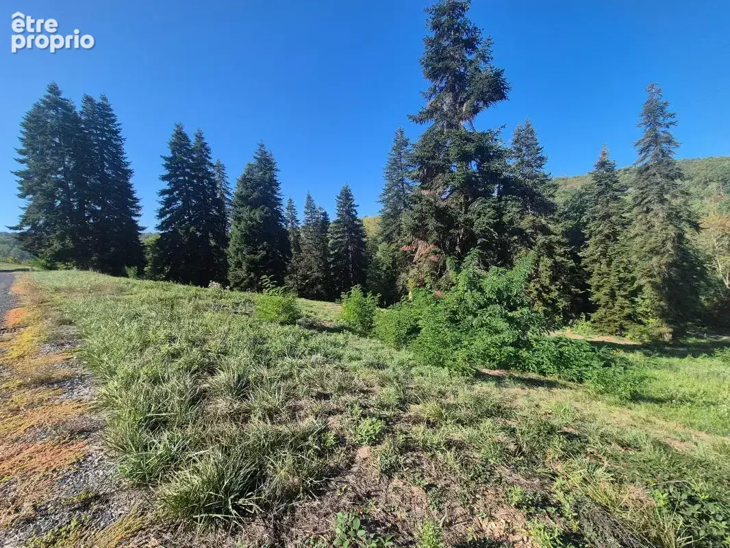 Photo Terrain à Cublac au prix de 24 000€