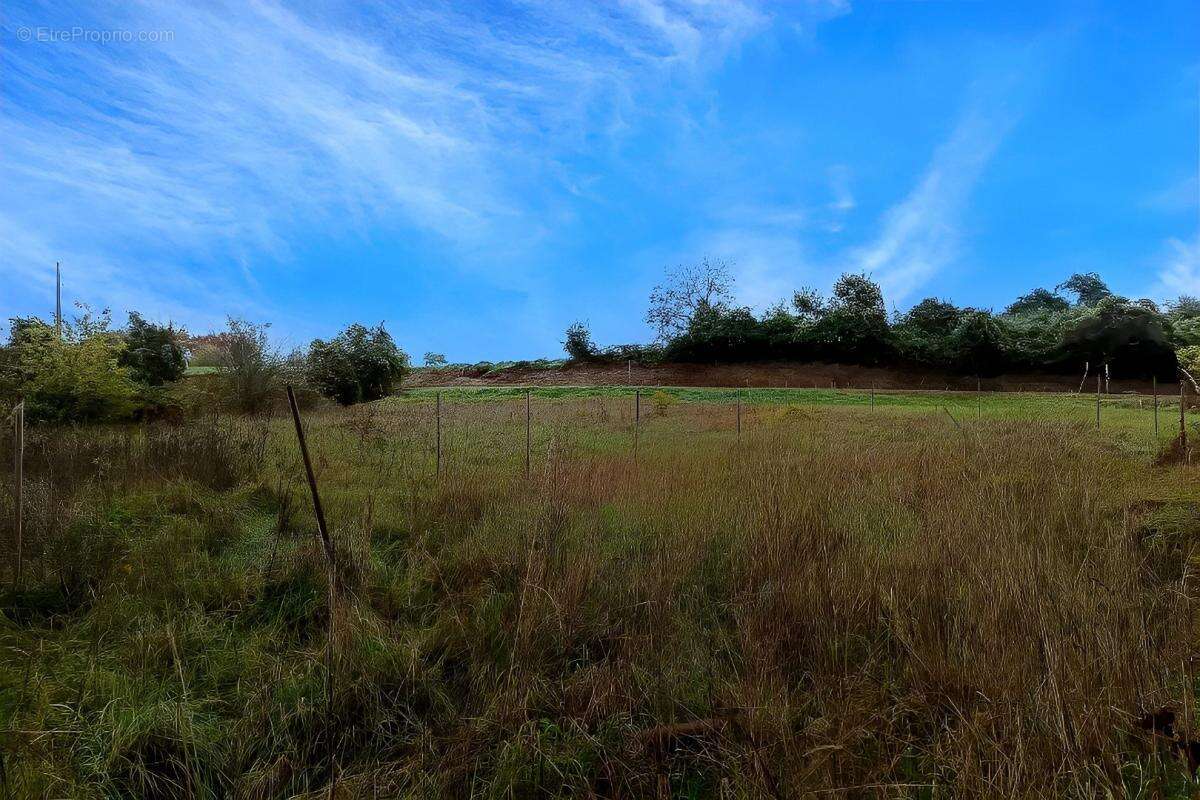 Terrain à LESCURE-D'ALBIGEOIS