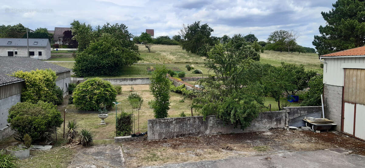 Ferme 0,20 ha - photo 8