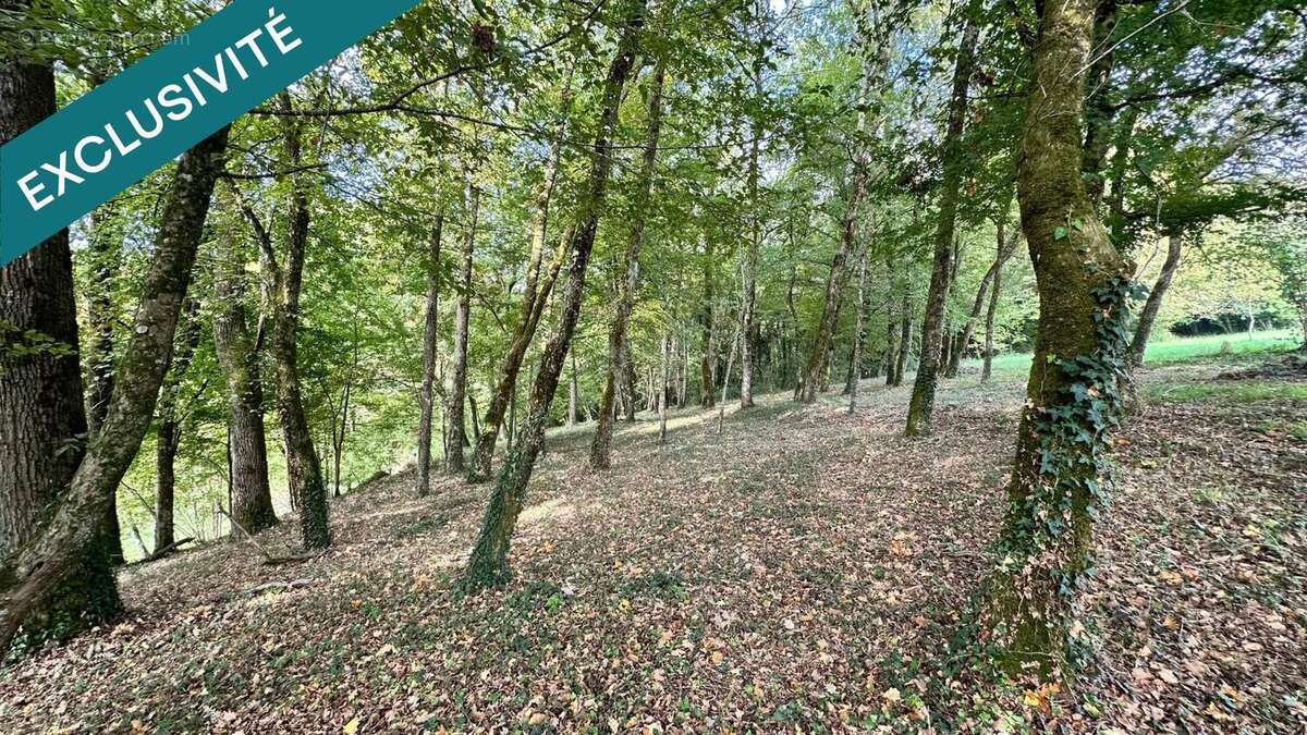 Photo 6 - Maison à SAINT-SAUVANT