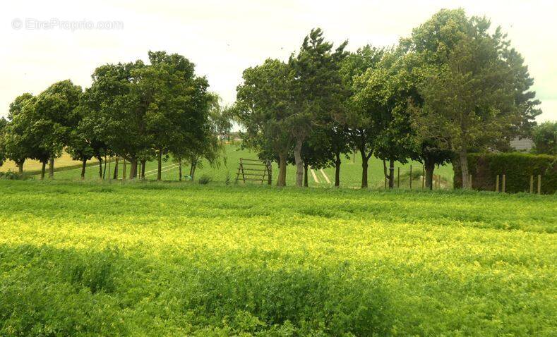 Terrain à BOURGOGNE