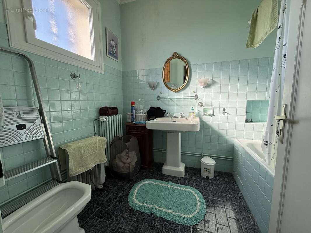 FERME de 248m² - 1hectare48a78ca avec étangs - photo 16
