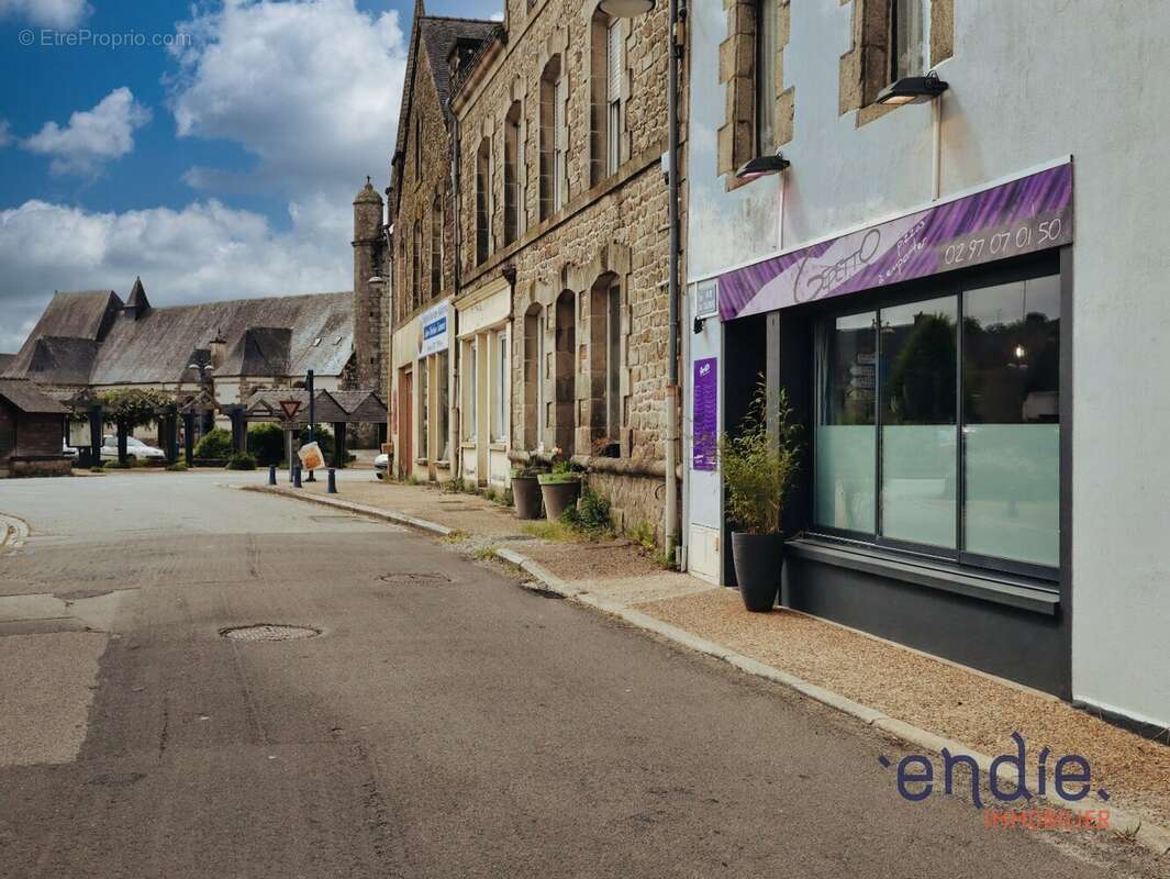 Fonds de commerce de restauration rapide  Pizzeria reconnue à Melrand - photo 2