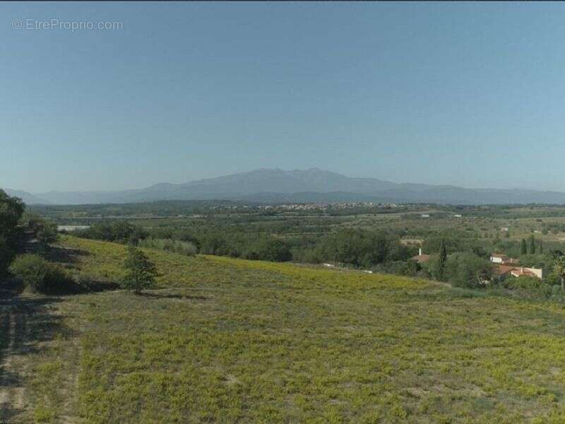 Terrain à BANYULS-DELS-ASPRES