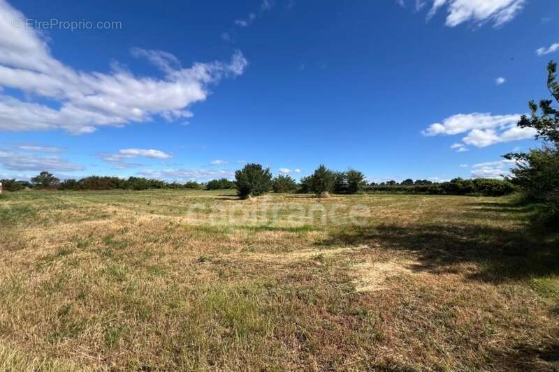 Parcelles agricoles 12 000 m² - JUNAS (GARD) - photo 5