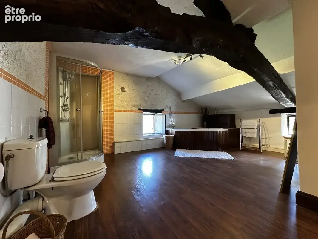 Maison 7 pièces 302 m² à vendre à La Sauvetat-Du-Dropt (47800) - photo 8