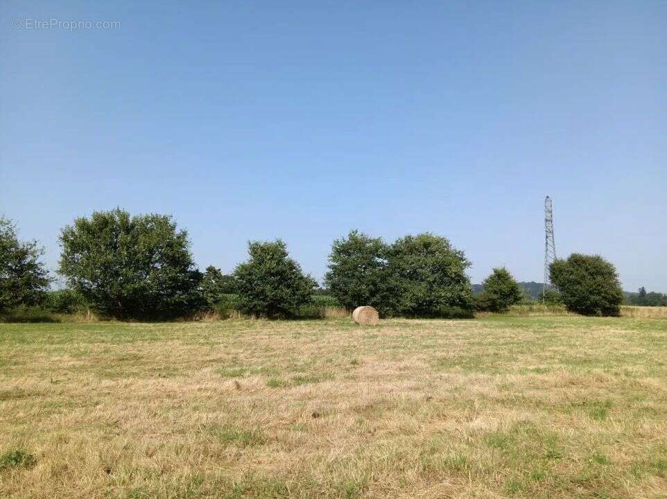 Terrain à LABASTIDE-VILLEFRANCHE