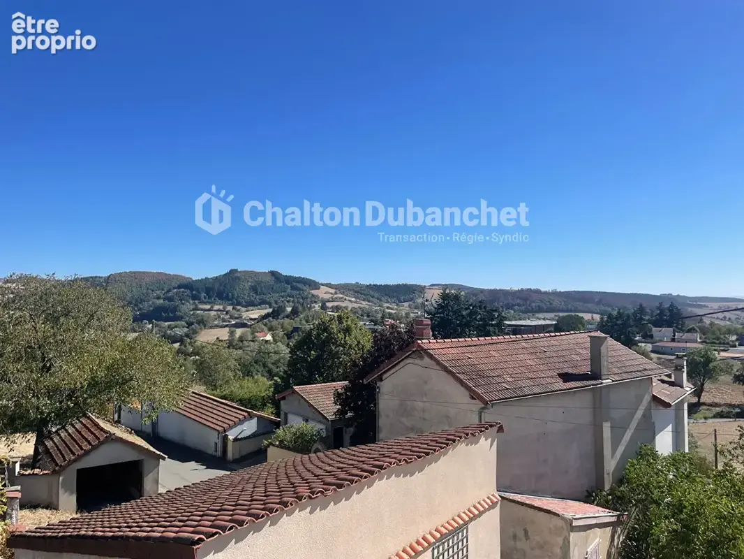 Maison 9 pièces 265 m² à vendre à Saint-Just-La-Pendue (42540) - photo 8