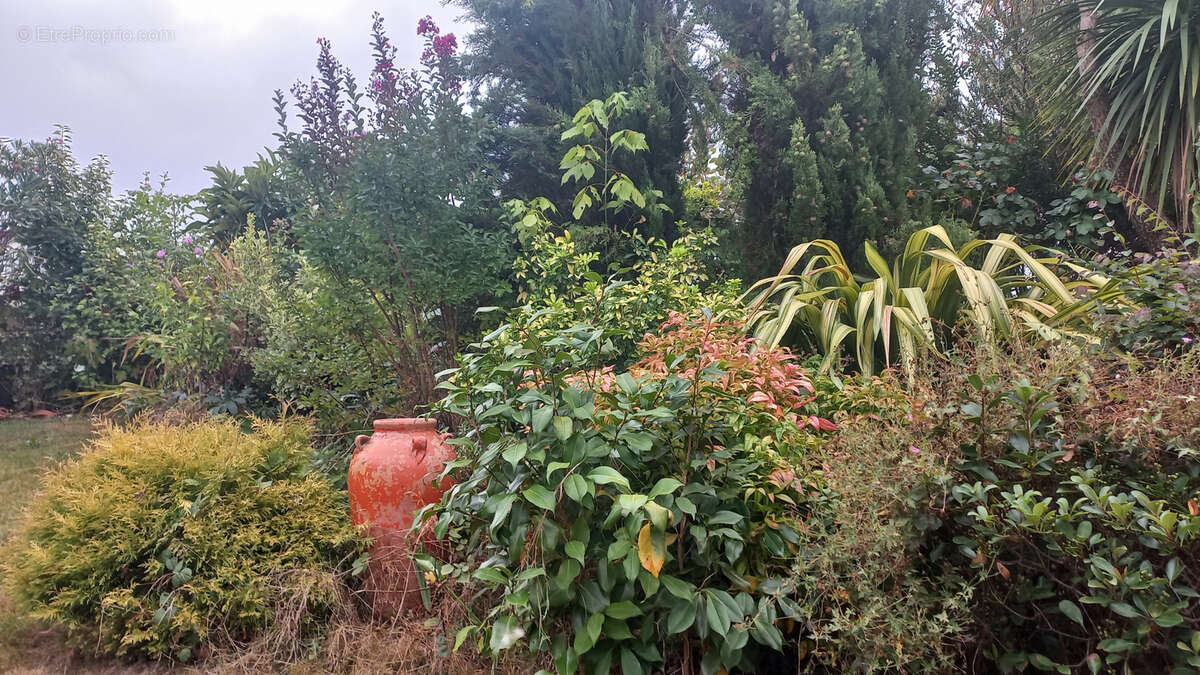 Maison à AICIRITS-CAMOU-SUHAST