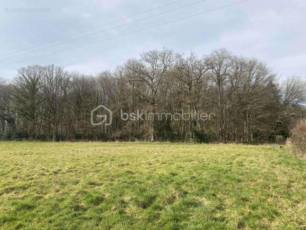 Charmante maison Normande avec dépendances et 3 Hectares de terrain - photo 16