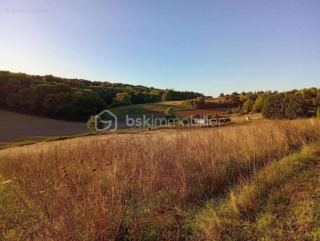 Terrain à SAINTE-GENEVIEVE