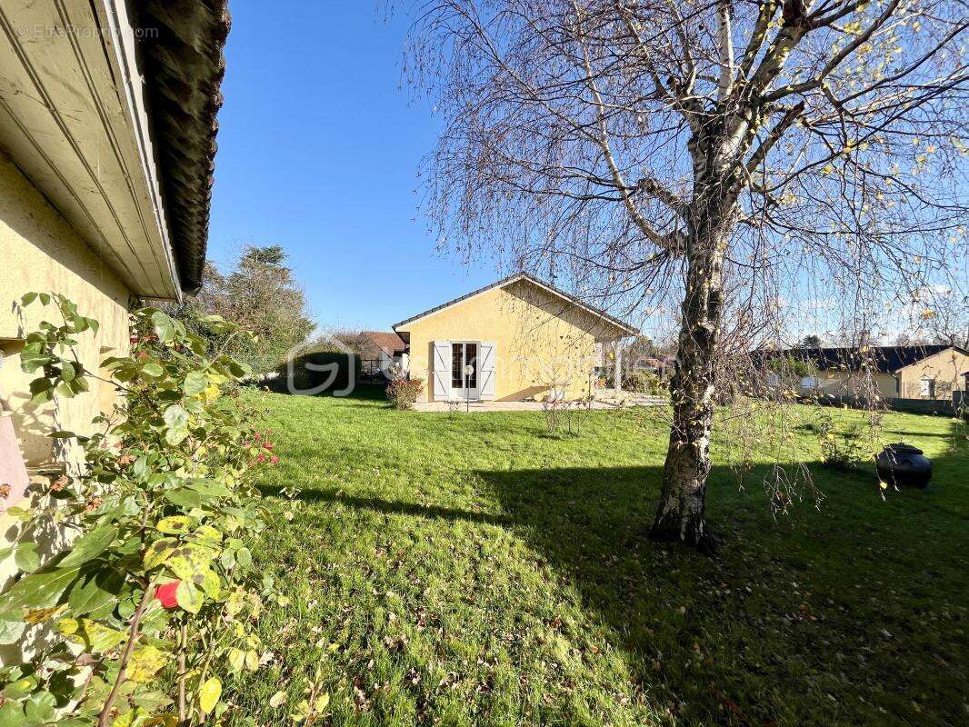 Maison à ROMANECHE-THORINS