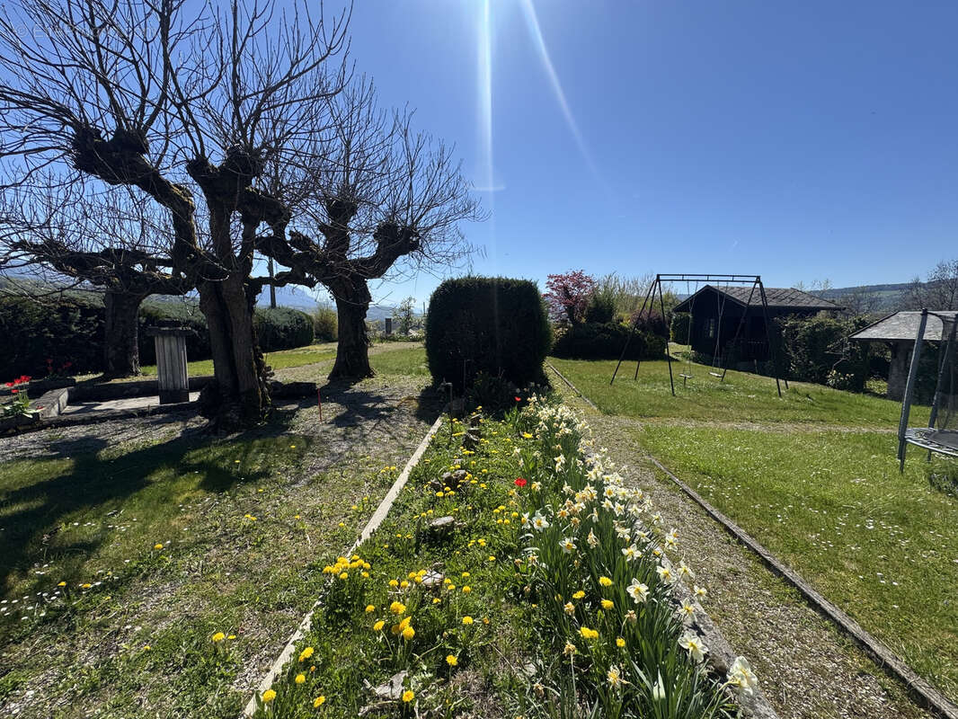 Terrain à SAINT-FELIX