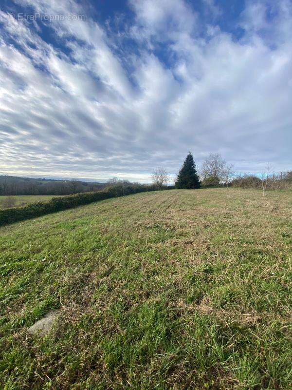 Maison à SALLESPISSE