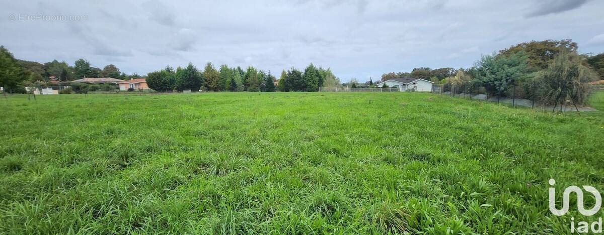 Photo 1 - Terrain à SERRES-GASTON