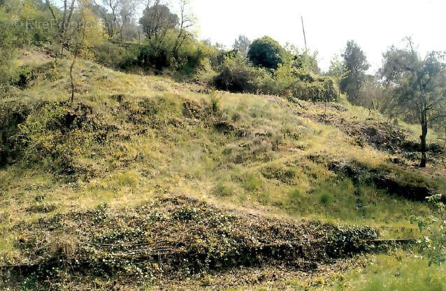 Terrain à PEILLE