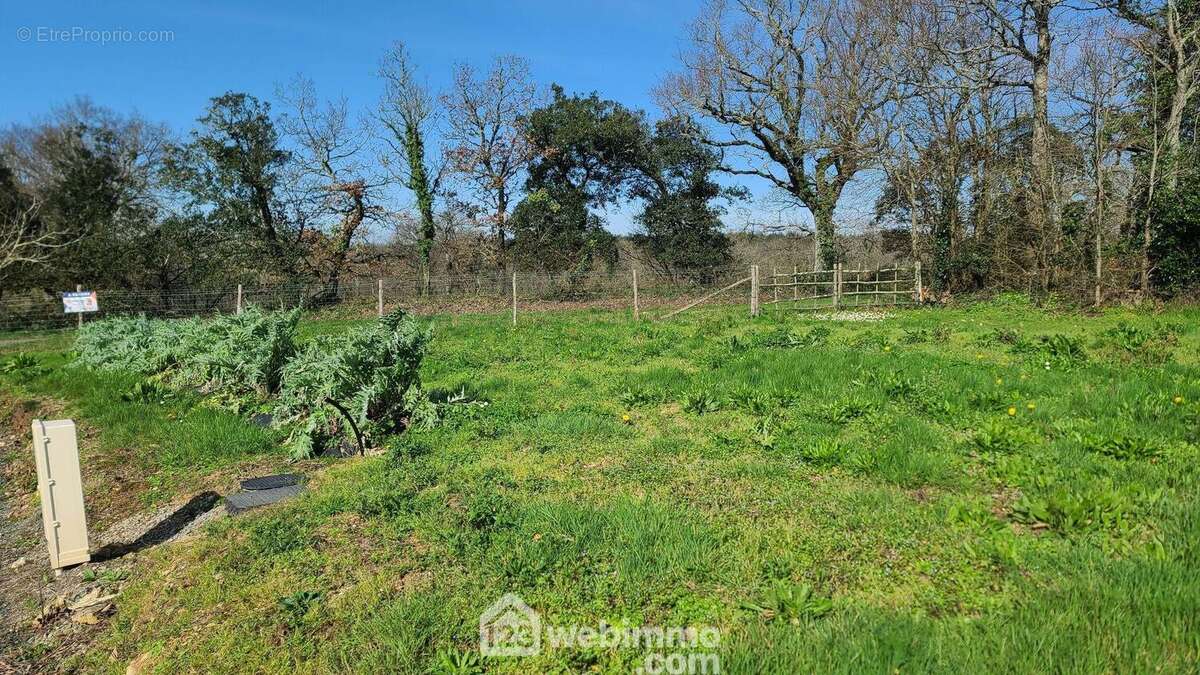 Terrain bordé d'arbres et vue sur campagne - Terrain à TALMONT-SAINT-HILAIRE