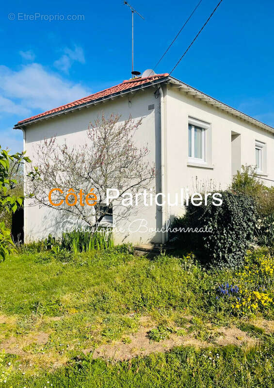Maison à CHEMILLE