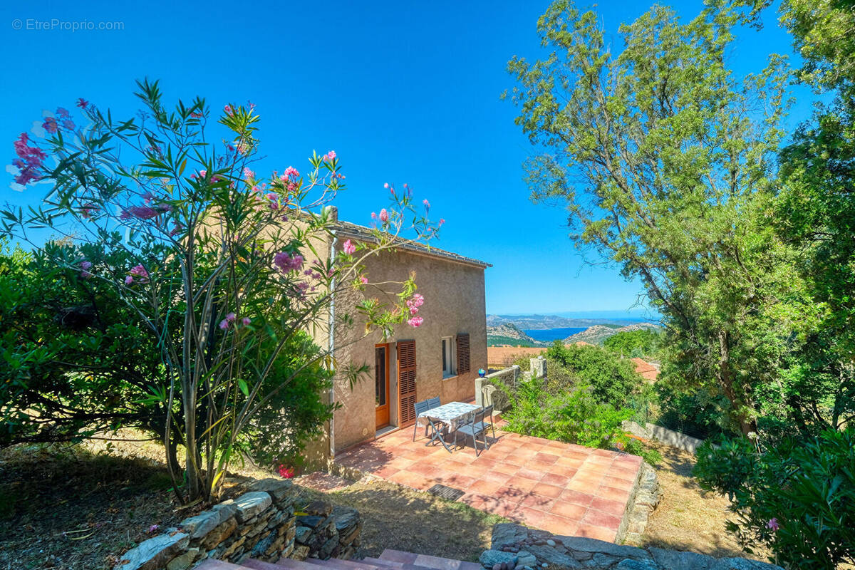 Maison à BARBAGGIO