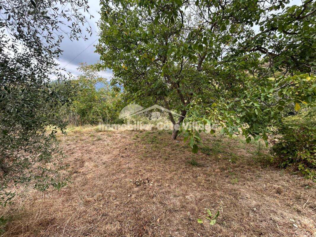 Terrain à BERRE-LES-ALPES