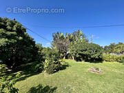 Terrain à SAINT-JOSEPH