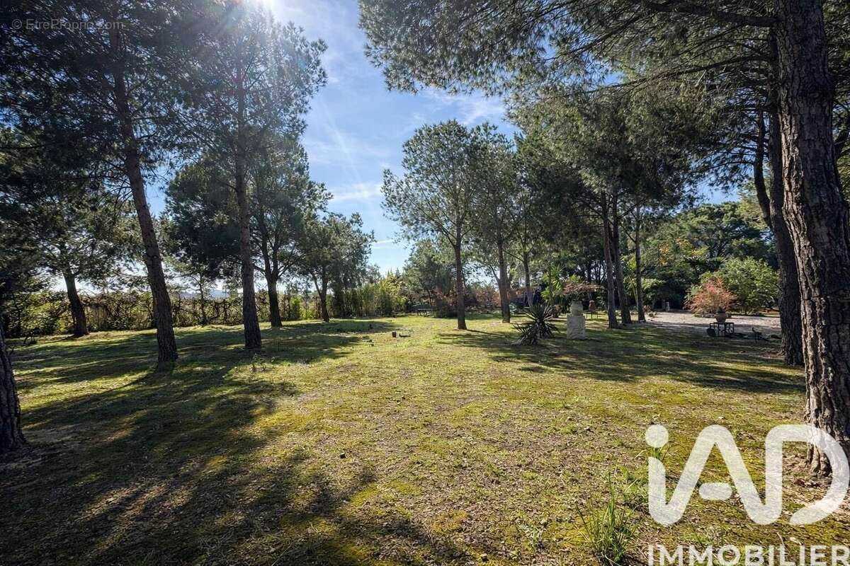 Maison 159 m² à Pia  - photo 7