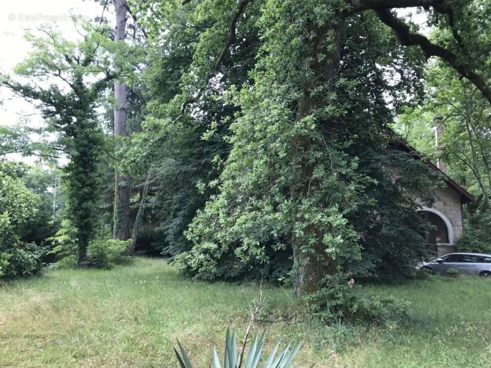 Terrain à BELIN-BELIET