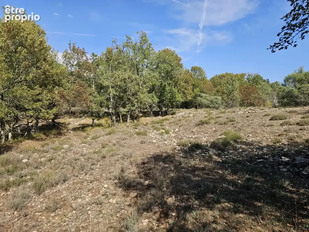 Terrain boisé au calme – accès par piste – cadre naturel préservé - photo 3