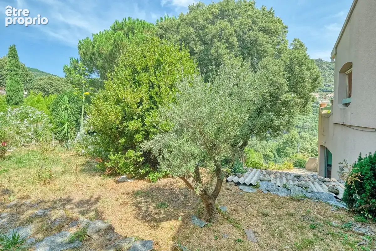Maison 194m² à ville-di-pietrabugno - photo 17