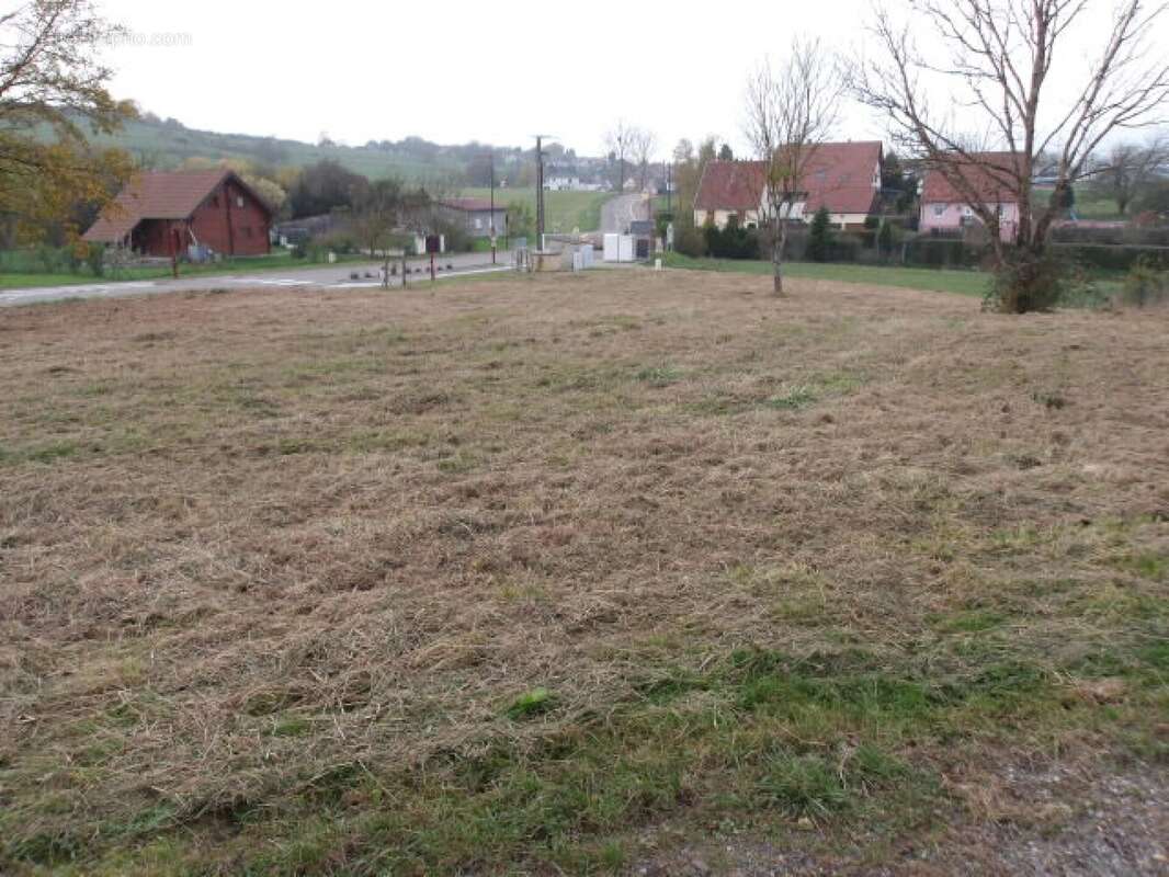 Terrain à GOERLINGEN