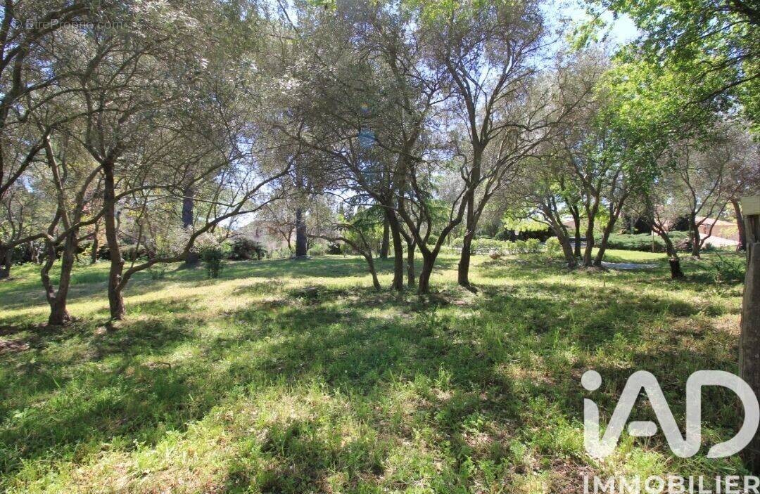 Photo 1 - Maison à EGUILLES