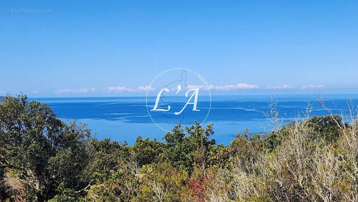 Terrain loisirs 6 679 m² vue mer Ajaccio Castagna Capo di Muro (Se Loger) - photo 10