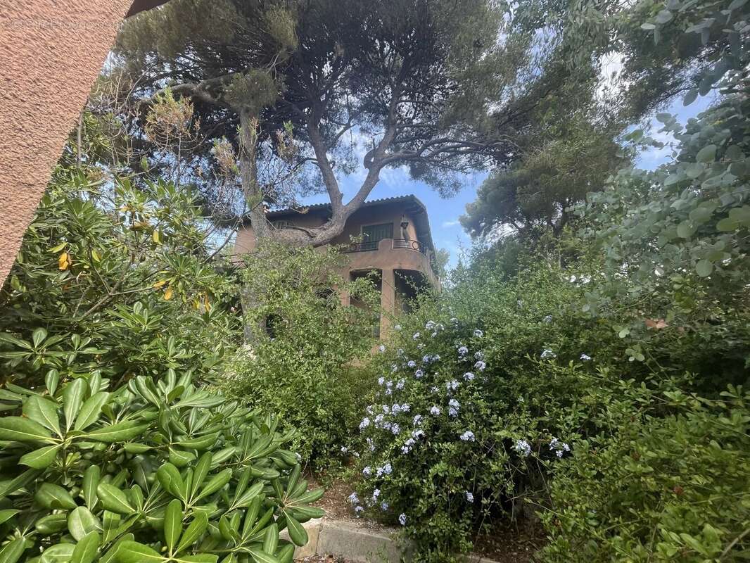 Maison à SAUSSET-LES-PINS