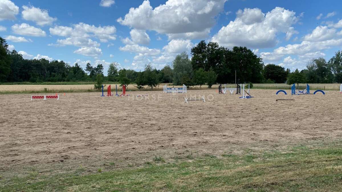 Rare ! Propriété équestre clé en main à 15 min de Saumur - photo 6