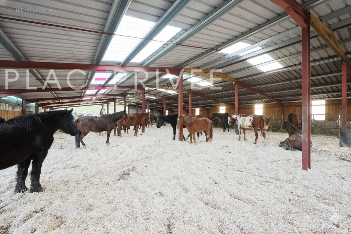 Maison à GEMAINGOUTTE