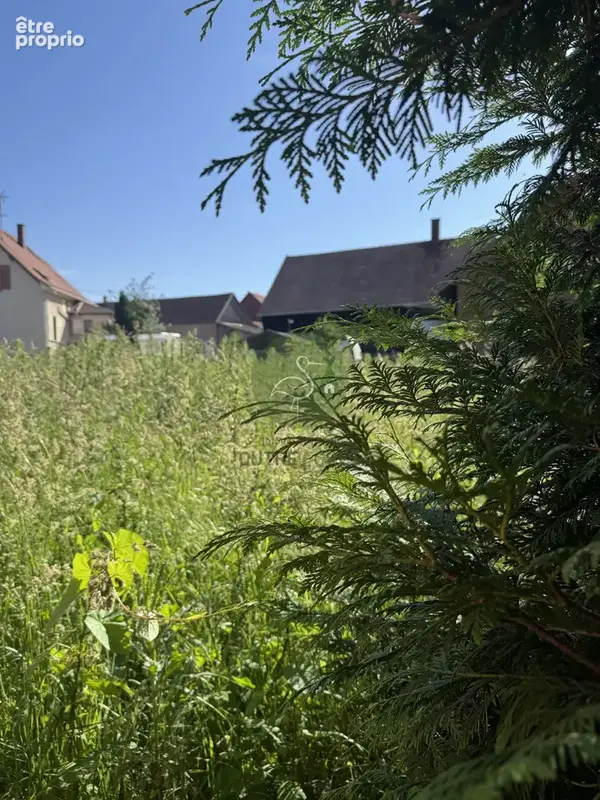Terrain 822 m² à vendre à Niederschaeffolsheim (67500) - photo 4