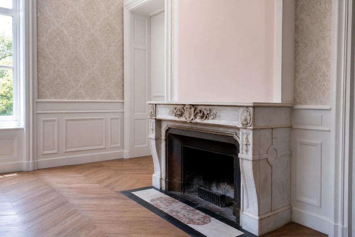 Maison de 360 m² à Neuville-sur-Ain - photo 8