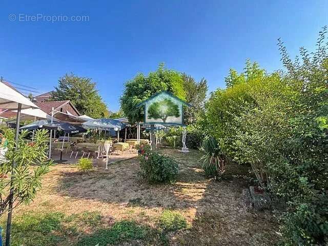 MULHOUSE ENVIRONS (68) Restaurant 460m² et Appartement 118m² sur 9,8 ares - photo 15