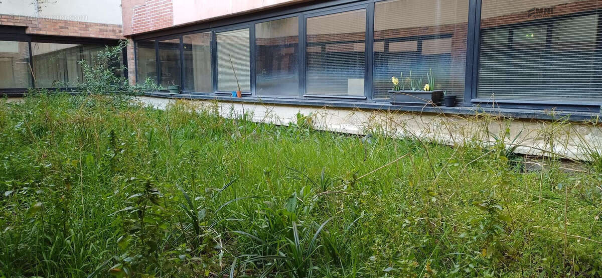 Commerce 303 m² à Le Kremlin-Bicetre  - photo 3