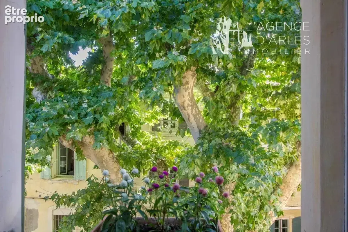 Arles La Roquette - Maison de caractère avec terrasse - photo 7