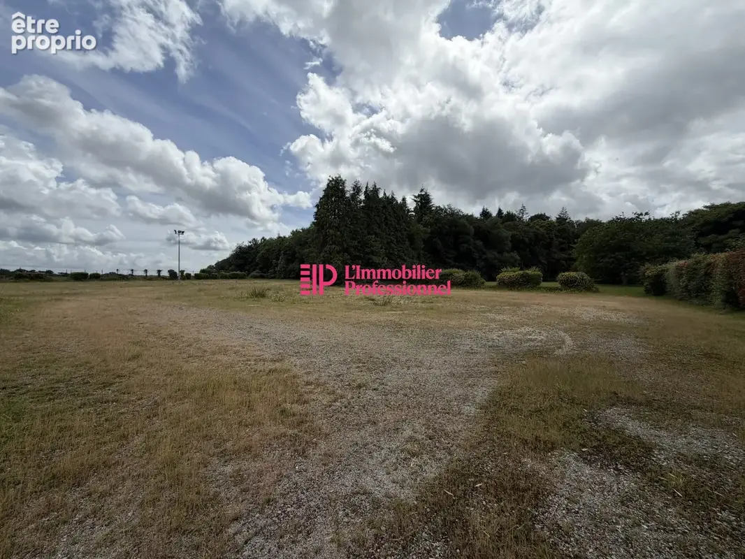 Commerce 340 m² à vendre à Languidic (56440) - photo 3