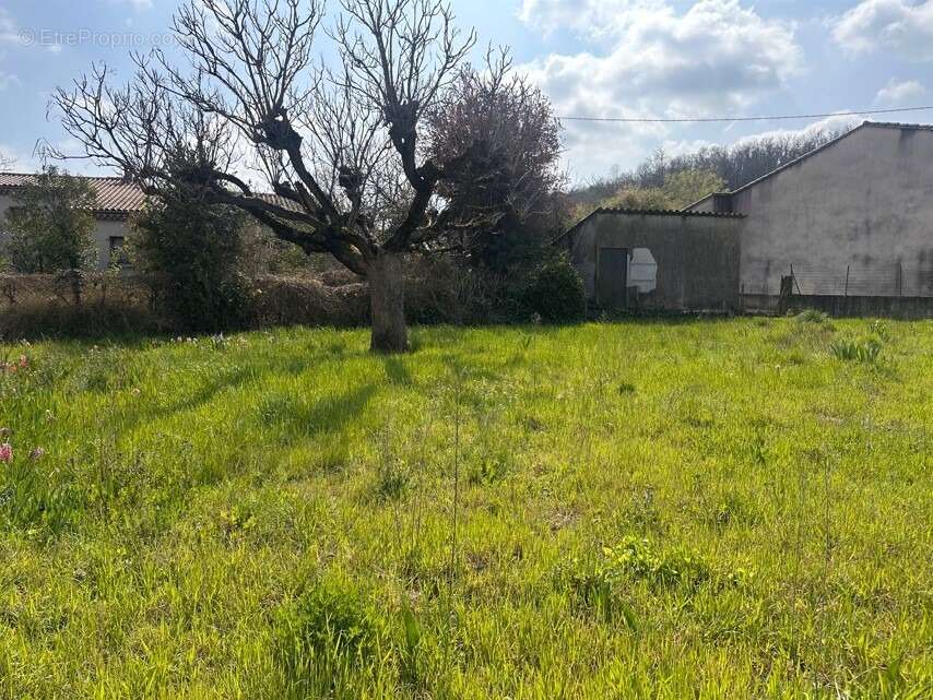 Terrain à BEAUMONT-LES-VALENCE